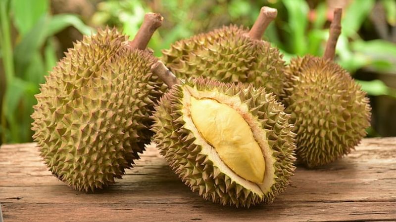 Đặc điểm của giống sầu riêng Musang King