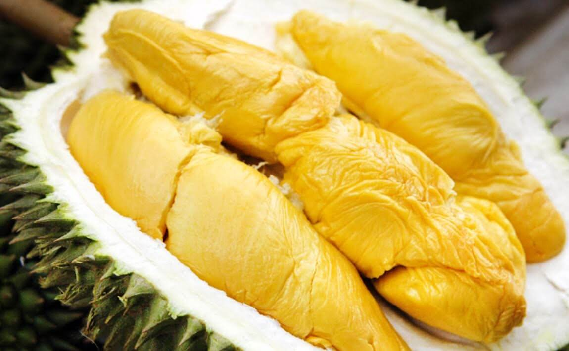 Xuất xứ của cây sầu riêng Musang King 