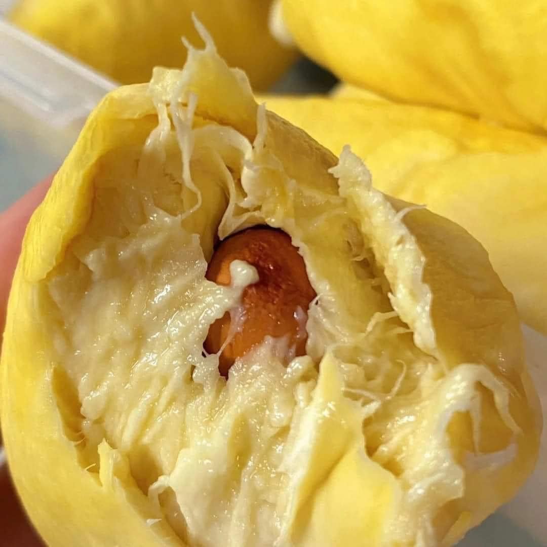 Đặc điểm nổi bật của sầu riêng Monthong Thái Lan