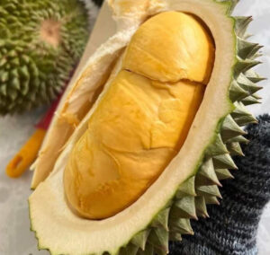 Sầu Riêng Black Thorn D200 Là Gì? Đặc Điểm Và Nguồn Gốc