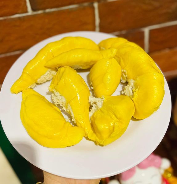 Sầu Musang King – Vua sầu riêng Malaysia tại Việt Nam