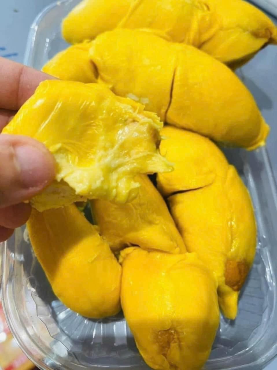 Musang King