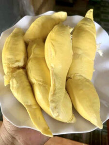 Sầu Riêng 6 Hữu Là Gì? Giống Sầu Riêng Sáu Hữu Ngon Không?