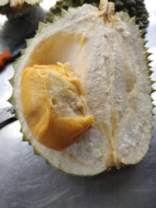 Sầu Riêng Black Thorn Là Gì? Đặc Điểm Cây Sầu Riêng Black Thorn