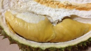 Sầu Riêng Khổ Qua Là Gì? Sầu Riêng Khổ Qua Xanh Và Vàng Hạt Lép Đặc Biệt