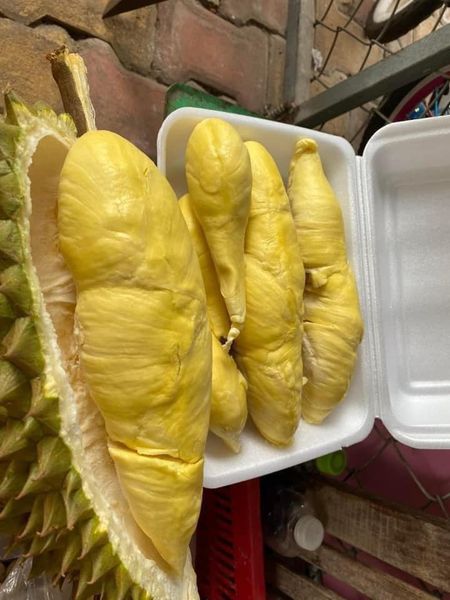 sầu riêng Monthong