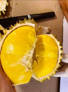 Sầu Riêng Óc Khỉ Có Ngon Không? Giá Hôm Nay Bao Nhiêu?