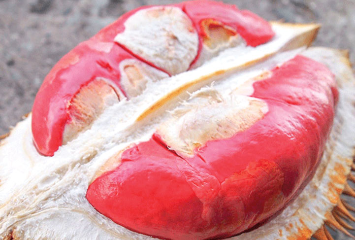 Đặc điểm nổi bật của sầu riêng Musang King ruột đỏ