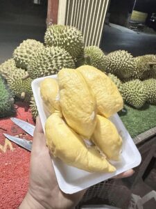 Sầu Riêng J6 Là Gì? Đặc Điểm và Nguồn Gốc