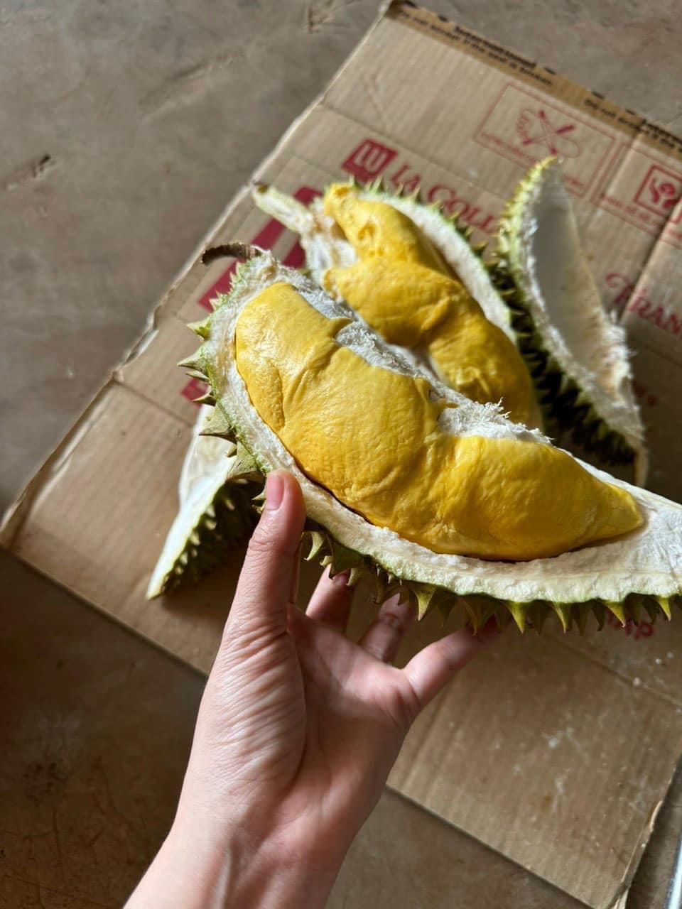 Địa chỉ mua sầu riêng Ri6 loại 1 uy tín chất lượng