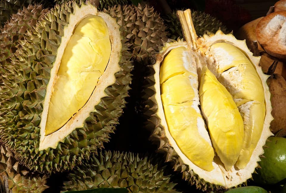 1kg sầu riêng được bao nhiêu cơm? Sự thật không ngờ
