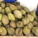 Cách Buôn Sầu Riêng & Những Lưu Ý Không Nên Bỏ Qua