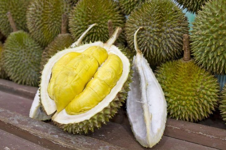Cách kiểm tra sầu riêng chín và xử lý trái non