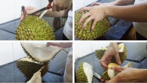 Hướng Dẫn Cách Bổ Sầu Riêng Đúng Khui Sầu Riêng Chuẩn