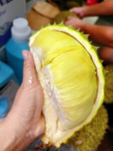 Cách Chọn Sầu Riêng Ngon Như Thế Nào Nhiều Múi Không Bị Sượng