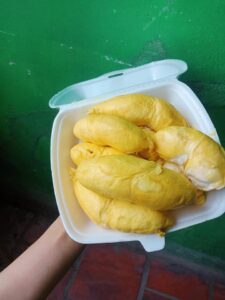 Cách Lựa Chọn Sầu Riêng Ri6 Ngon Cho Người Sành Ăn