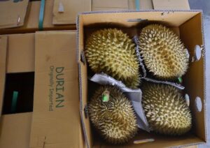 Cách Vận Chuyển Sầu Riêng Đi Xa Không Bị Hỏng, Mốc