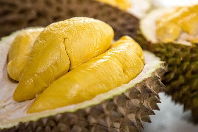 Cách cho chó ăn sầu riêng an toàn