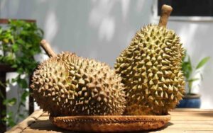 Sầu Riêng Có Cúng Được Không? Có Nên Thắp Hương Sầu Riêng?