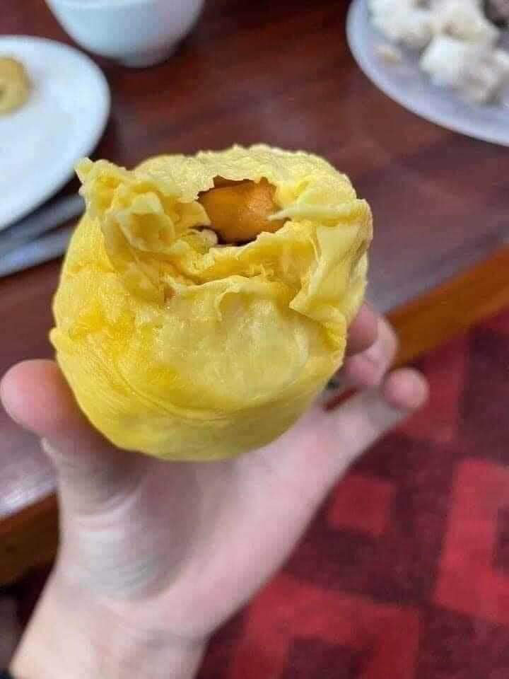 Thử ngay sầu riêng Musang King D197 tại giasaurieng.vn