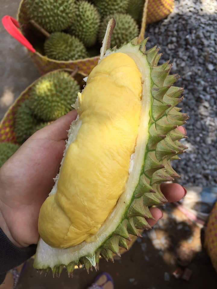 Sầu riêng Cái Mơn là gì?