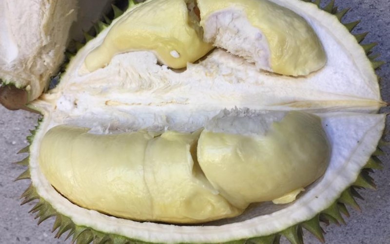 Mua sầu riêng màu trắng ở đâu tốt?