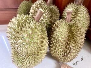 Sầu Sữa Khánh Sơn Ngon Không? Giá Bao Nhiêu?