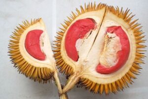 Sầu Riêng Ruột Đỏ Giá Bao Nhiêu? Mua Ở Đâu Uy Tín?