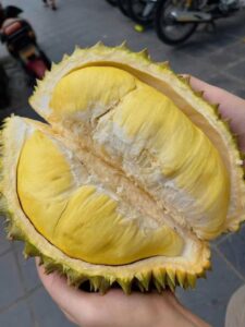 giá sầu riêng hôm nay tại hà nội bao nhiêu? bảng giá mới nhất