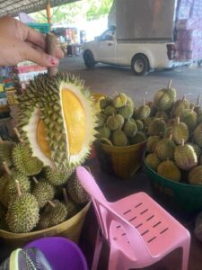 Sầu Riêng Fumani Mini Thái Lan: Thông Tin & Đặc Điểm