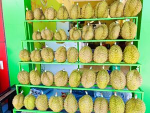 Mua Sầu Riêng Malaysia Ở Đâu? Top 5 Địa Chỉ Bán Tại TP HCM