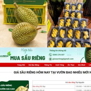 Top 3 Địa Chỉ Mua Sầu Riêng Online Ngon & Giá Tốt