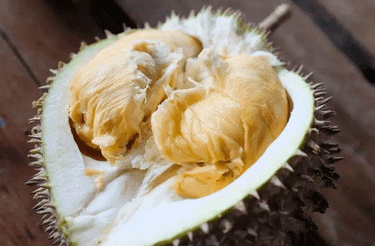 Các biện pháp phòng ngừa mùi sầu riêng trên ô tô