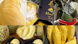 5+ Quả Sầu Riêng Đắt Nhất Thế Giới Hiện Nay