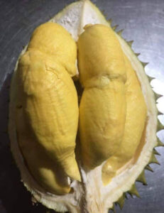 Sầu Riêng Cái Mơn Là Gì? Giá Bao Nhiêu?