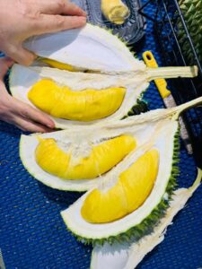 Sầu riêng D24 là gì? Tất tần tật về giống sầu riêng D24