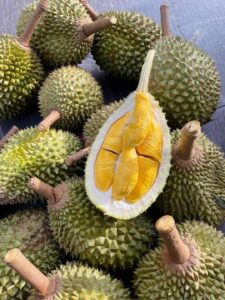 Vua Sầu Riêng Musang King Malaysia & Thông Tin Cần Biết