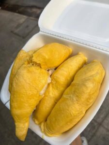 Sầu Riêng Là Gì? Xuất Xứ Và Đặc Tính Chi Sầu Riêng