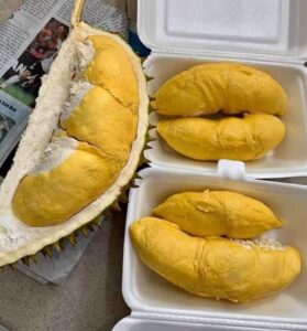 Sầu Riêng Bao Nhiêu Tiền 1kg? Giá Sầu Riêng Hôm Nay