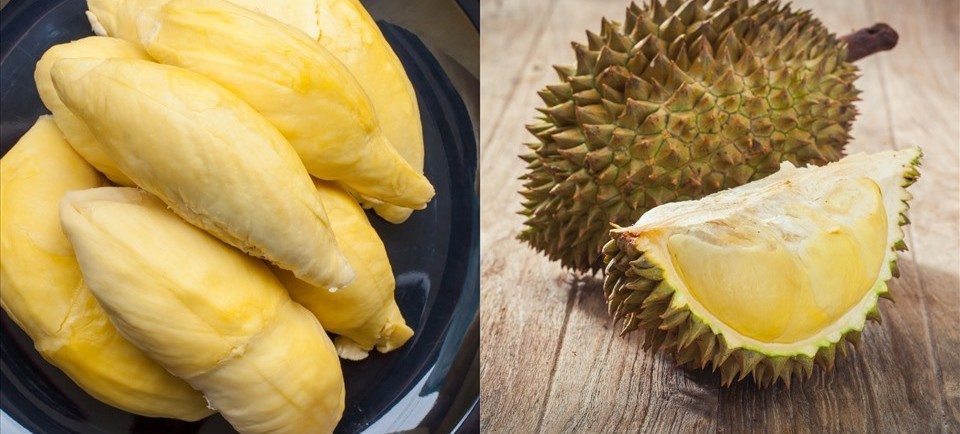 Sầu riêng Bawor