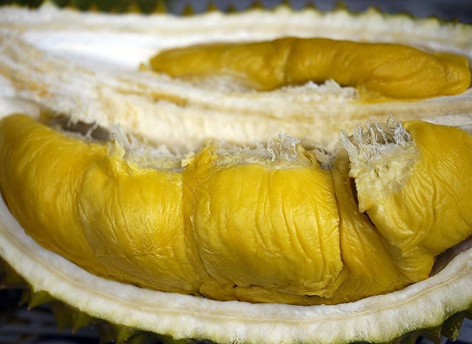 Đặc điểm của sầu riêng bí rợ
