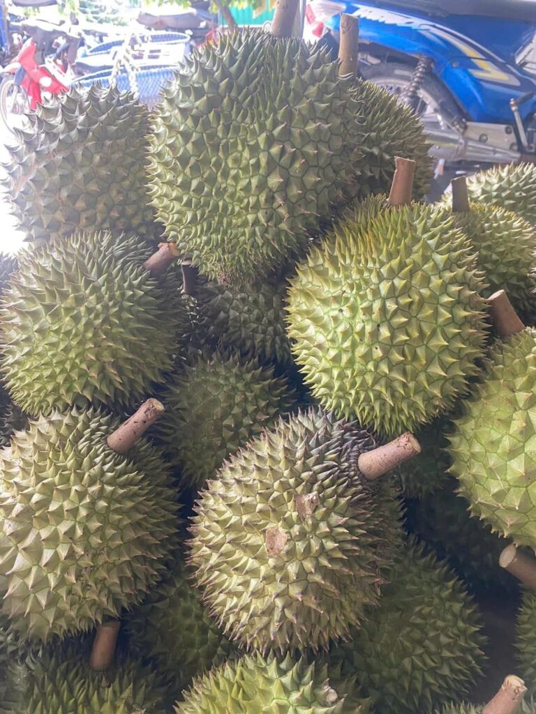 Cách chọn sầu riêng dâng cúng