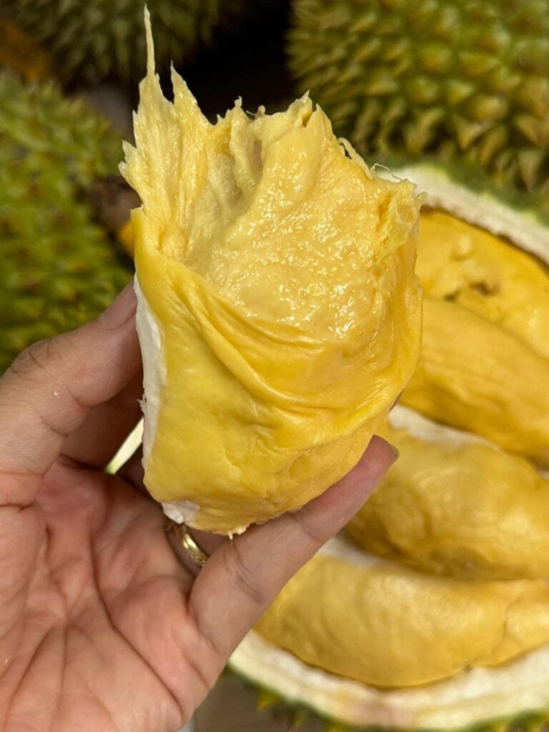 Sầu riêng là đặc sản của tỉnh nào?