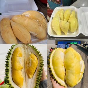 Top 5+ Sầu Riêng Đắk Lắk Ngon Được Trồng Phổ Biến