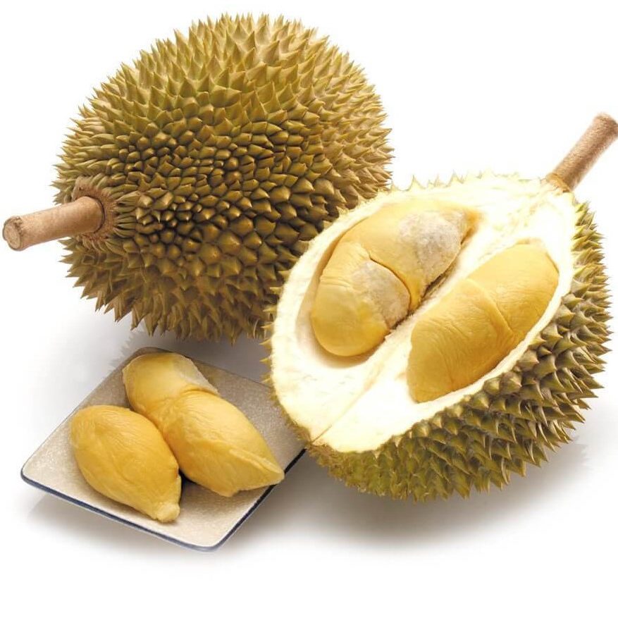 Sầu riêng Monthong – Loại sầu riêng đắt đỏ có thể lên tới 50 triệu đồng
