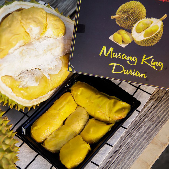 Sầu riêng Musang King – Gần 1 tỷ đồng/quả
