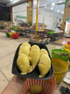 Sầu Riêng Dona Là Gì? Đặc Điểm Cây Giống Sầu Riêng Dona