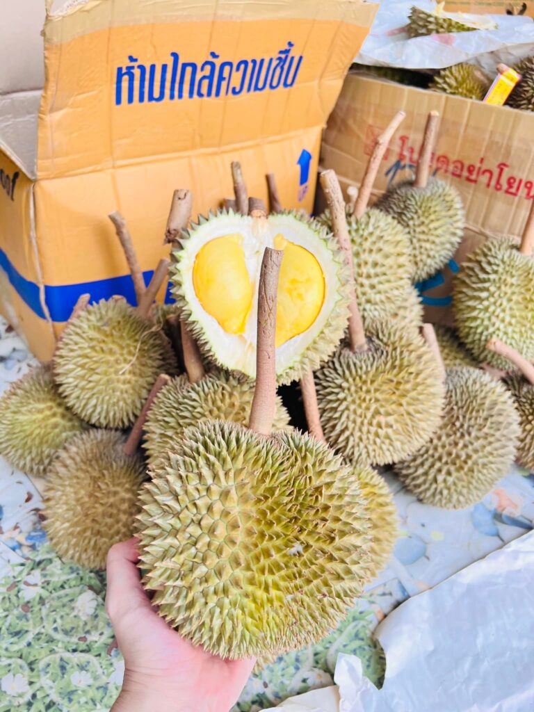Vì sao sầu riêng kanyao được săn lùng?