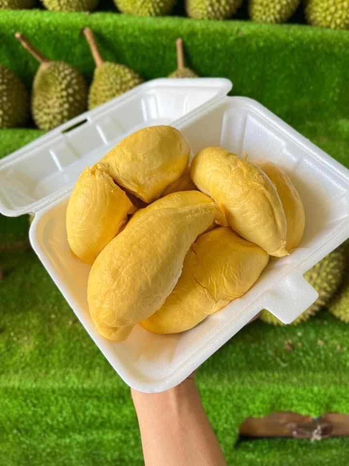 Vùng trồng sầu riêng tại Việt Nam