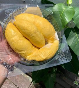 Sầu riêng là đặc sản của vùng nào? Tỉnh nào?